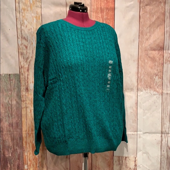 NWT Kim Rogers Curvy Cable Knit Crew Neck Sweater